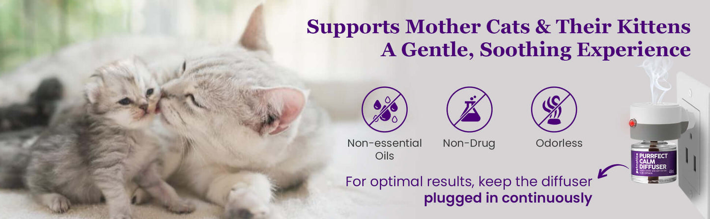 Purrfect Cat Calming Diffuser Kit with 2 Refills