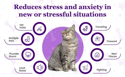 Purrfect Cat Calming Diffuser Kit with 2 Refills